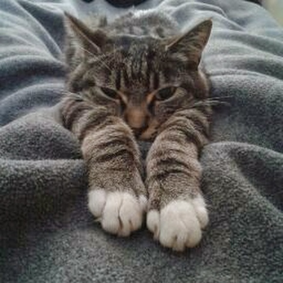 Meet your Posher, Dnell - Picture 1 of 1